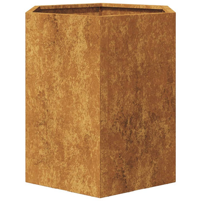 vidaXL Jardinières 2 pcs hexagone 46x40x45 cm acier corten