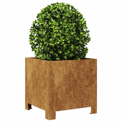 vidaXL Jardinières 2 pcs 30x30x30 cm acier corten