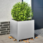 vidaXL Jardinière 50x50x50 cm acier galvanisé