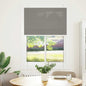 vidaXL Store plissé anthracite 90x100 cm largeur du tissu 89,4 cm