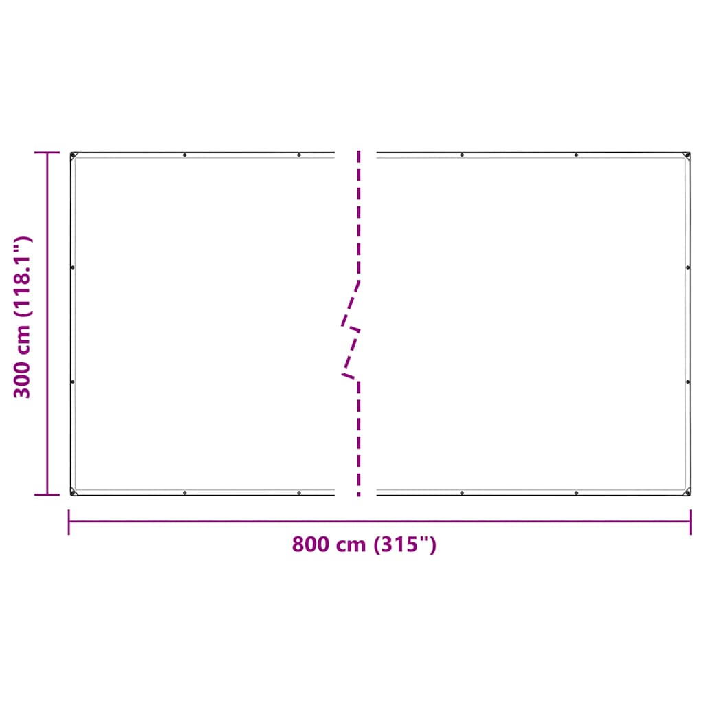 vidaXL Bâche transparente avec œillets 3x8 m polyéthylène