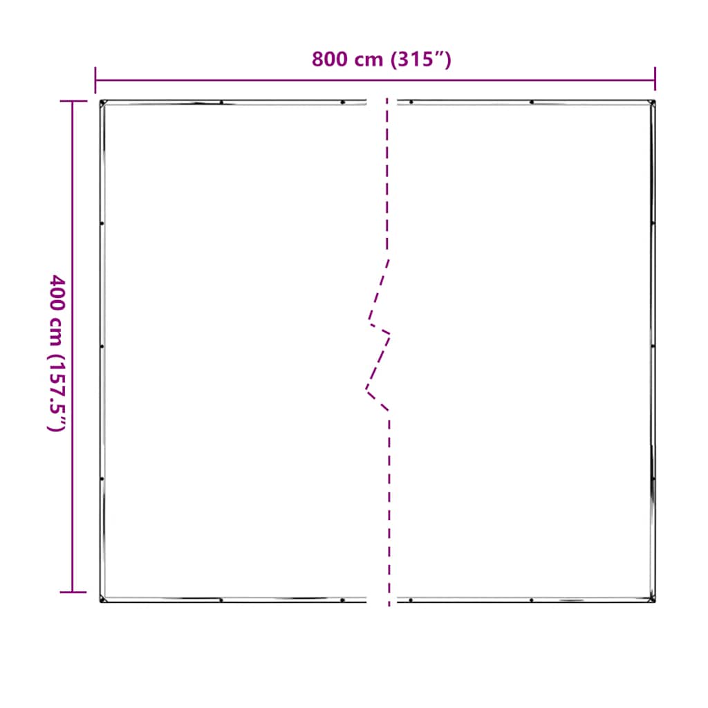 vidaXL Bâche transparente avec œillets 4x8 m polyéthylène
