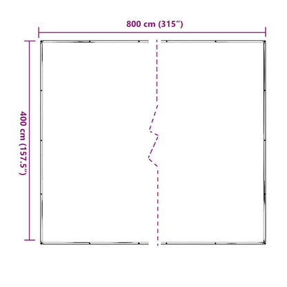 vidaXL Bâche transparente avec œillets 4x8 m polyéthylène