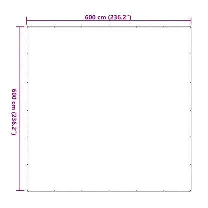 vidaXL Bâche transparente avec œillets 6x6 m polyéthylène