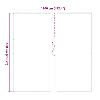 vidaXL Bâche transparente avec œillets 6x12 m polyéthylène