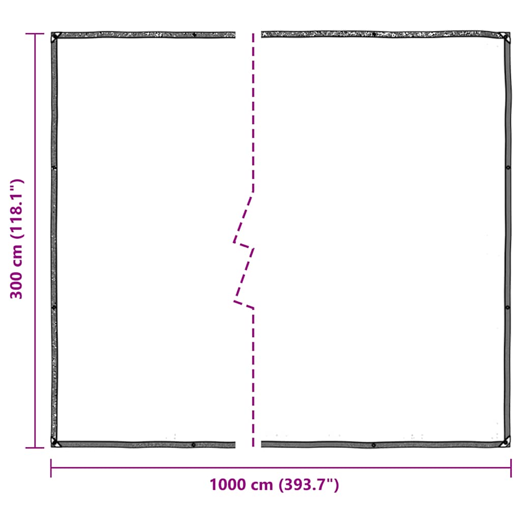 vidaXL Bâche transparente avec œillets 3x10 m polyéthylène
