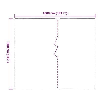 vidaXL Bâche transparente avec œillets 8x10 m polyéthylène