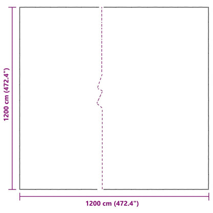 vidaXL Bâche transparente avec œillets 12x12 m polyéthylène