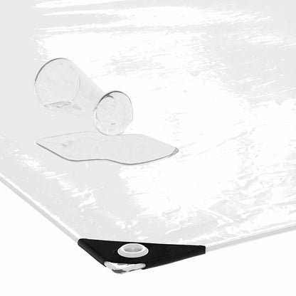 vidaXL Bâche transparente avec œillets 1x6 m PVC