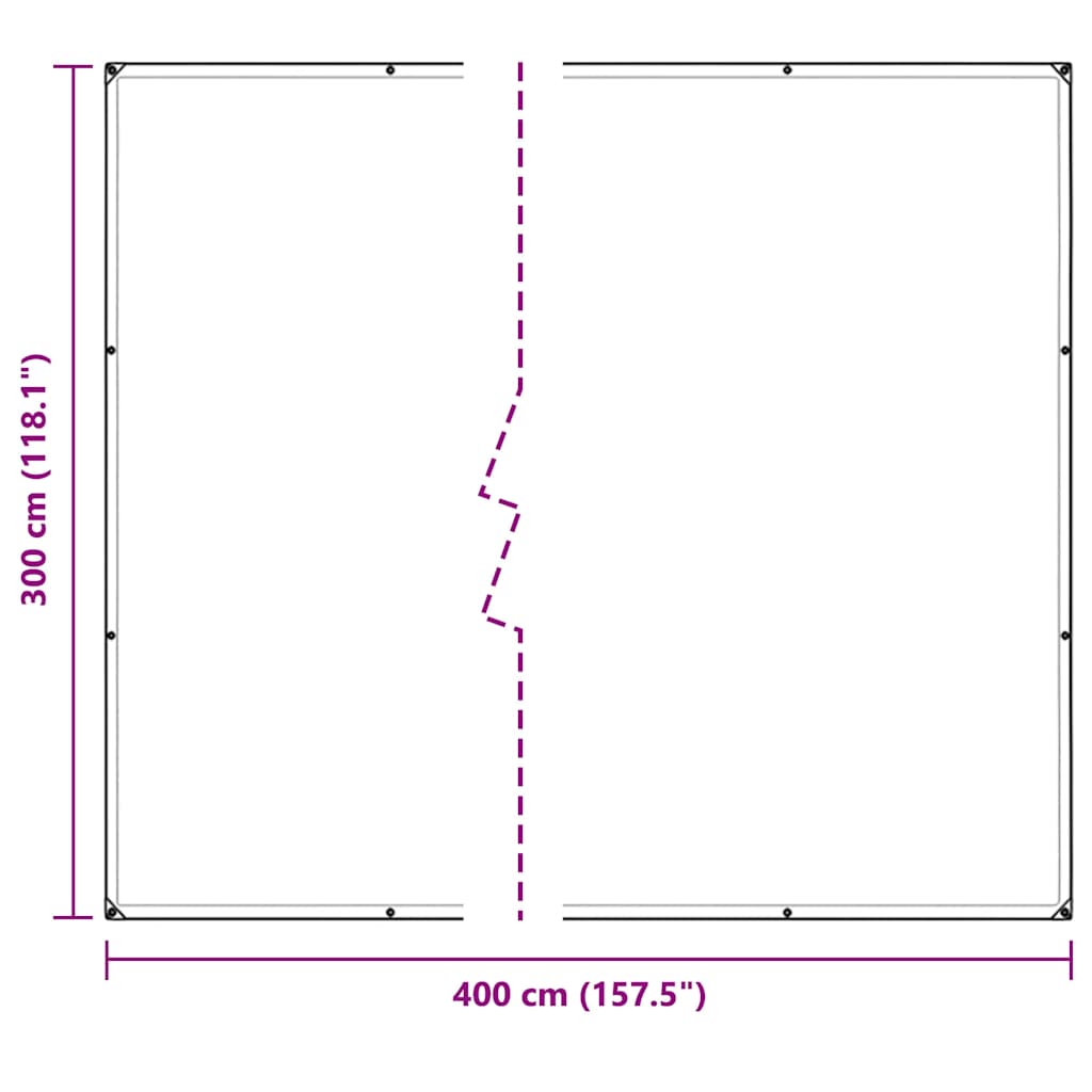 vidaXL Bâche transparente avec œillets 3x4 m PVC