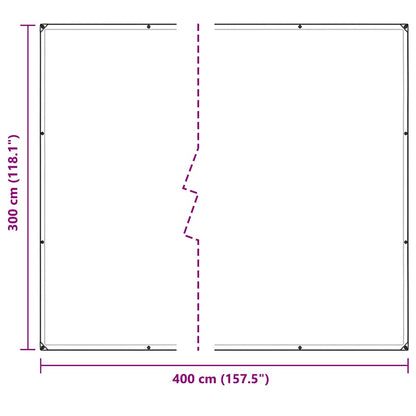vidaXL Bâche transparente avec œillets 3x4 m PVC