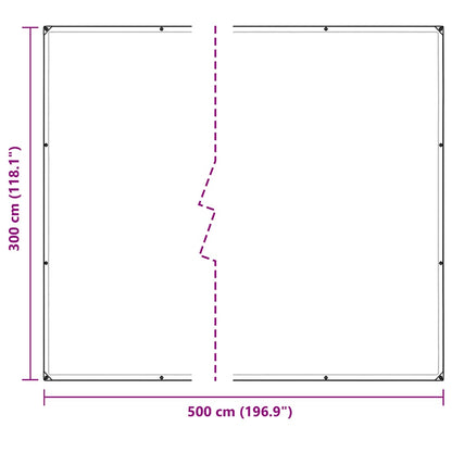 vidaXL Bâche transparente avec œillets 3x5 m PVC