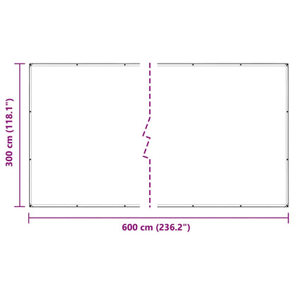 vidaXL Bâche transparente avec œillets 3x6 m PVC