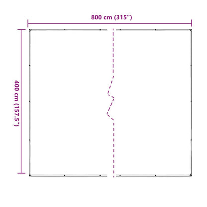 vidaXL Bâche transparente avec œillets 4x8 m PVC