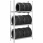 vidaXL Étagère à pneus à 3 niveaux 2 pcs argenté 110x40x200 cm acier