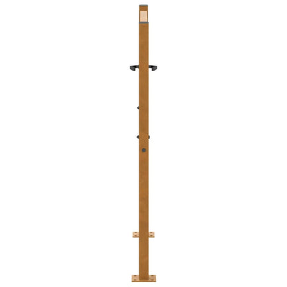 vidaXL Porte de jardin acier résistant aux intempéries design lumière
