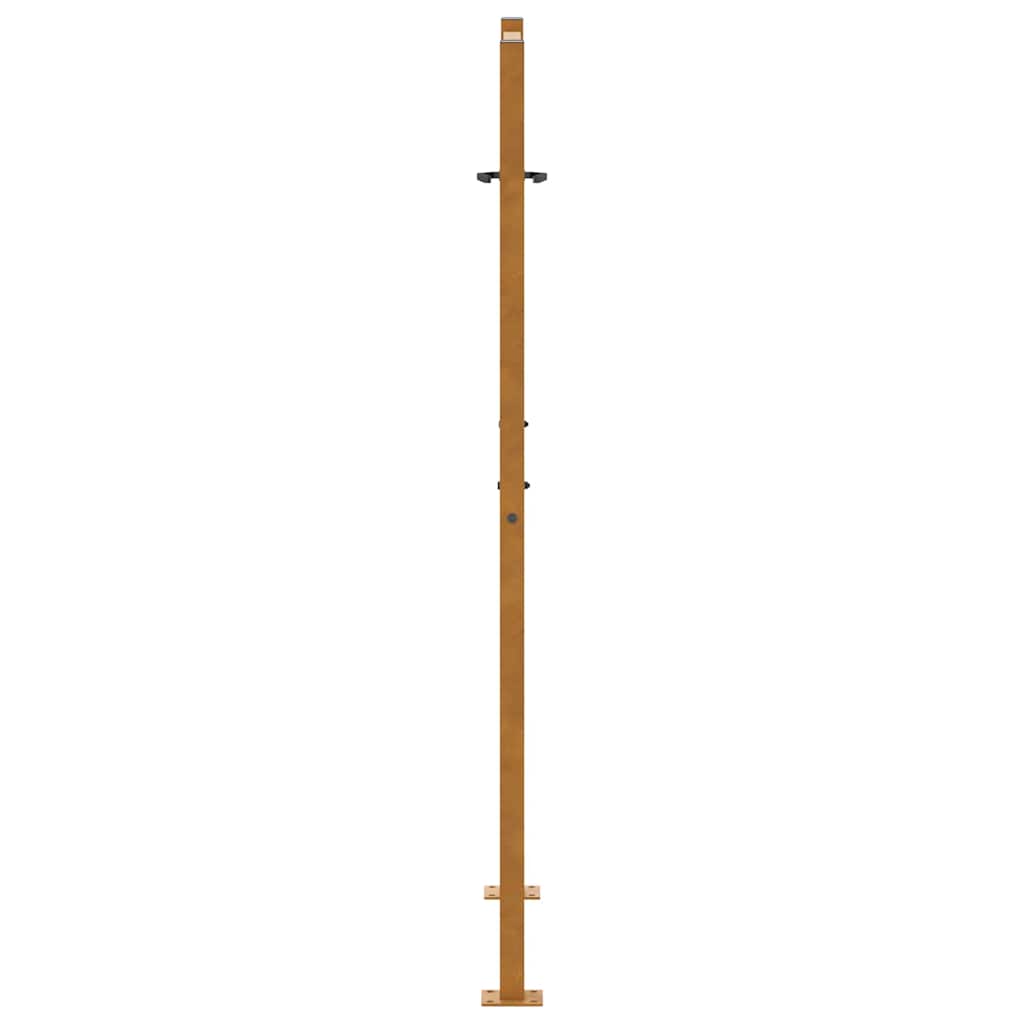 vidaXL Porte de jardin acier résistant aux intempéries design lumière