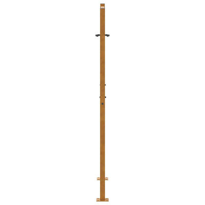 vidaXL Porte de jardin acier résistant aux intempéries design lumière