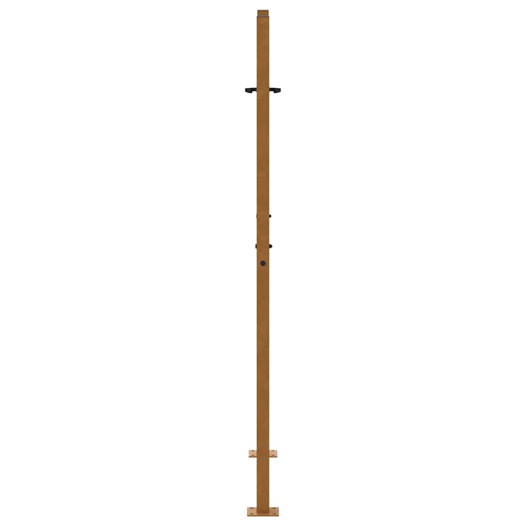 vidaXL Porte de jardin acier résistant aux intempéries design flamme