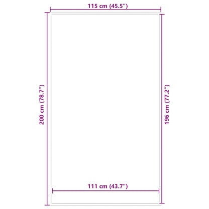 vidaXL Paillasson anthracite 115x200 cm