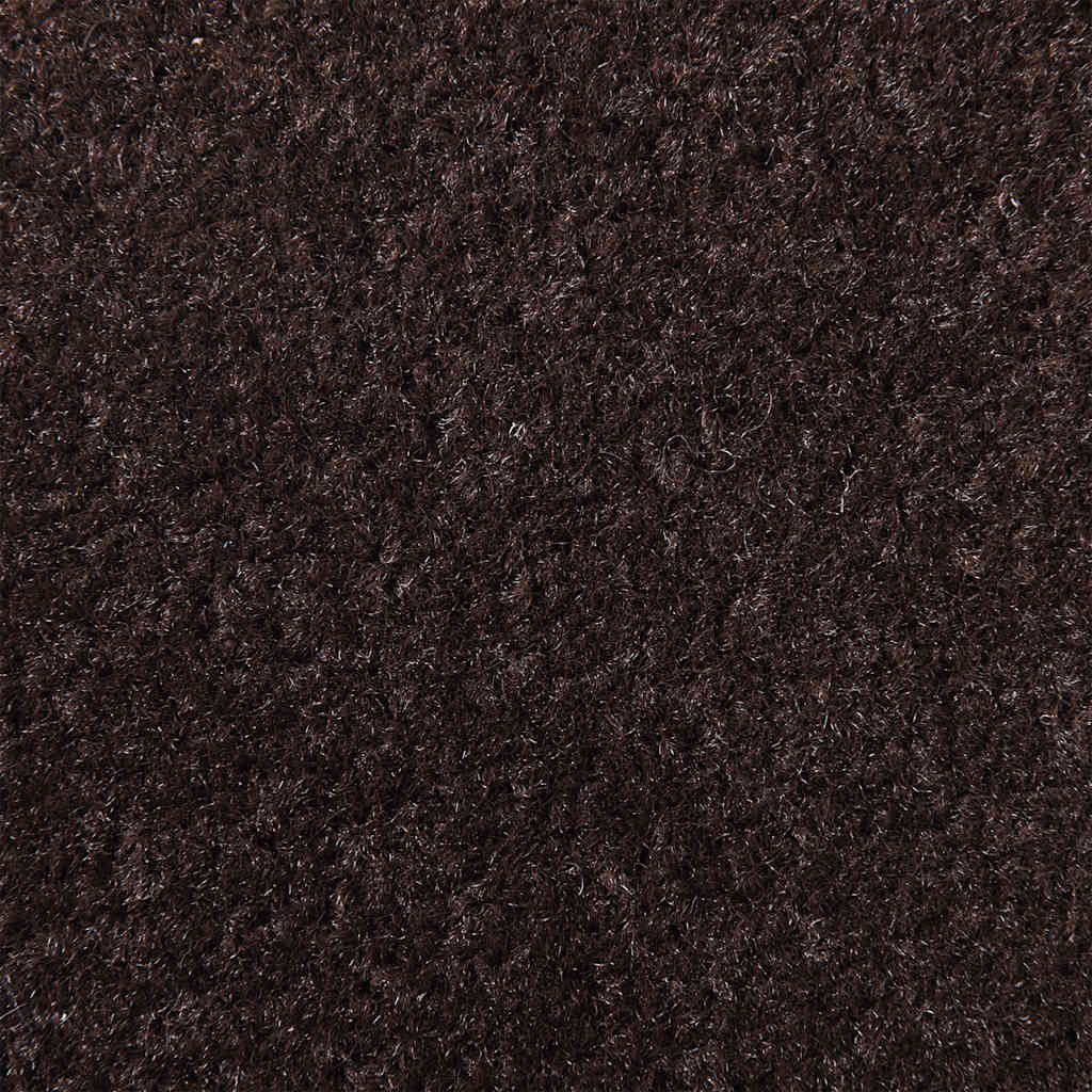 vidaXL Paillasson marron 60x90 cm