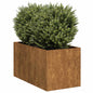 vidaXL Jardinière rouillé 40x80x40 cm acier inoxydable