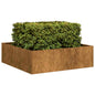 vidaXL Jardinière rouillé 100x100x30 cm acier inoxydable