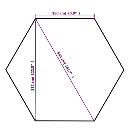 vidaXL Chapiteau tente de jardin avec rideaux Hexagonal 360 x 265 cm