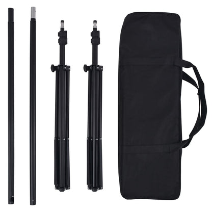 vidaXL Kit de studio avec 5 toiles de fond colorées et cadre réglable