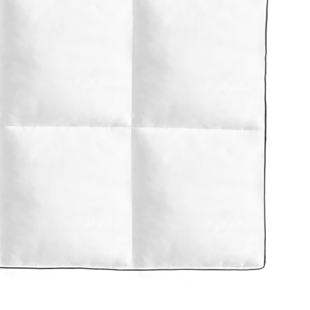 vidaXL Couette en duvet d'hiver 2 pcs 150 x 200 cm