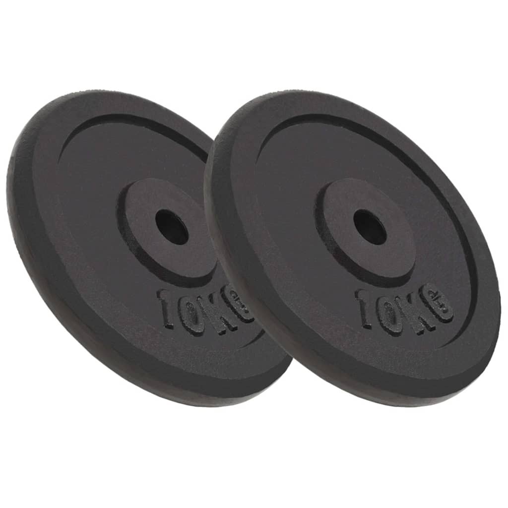 vidaXL Plaque de poids 2 pcs 2x10 kg Fonte