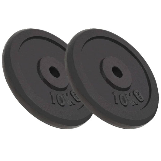 vidaXL Plaque de poids 2 pcs 2x10 kg Fonte