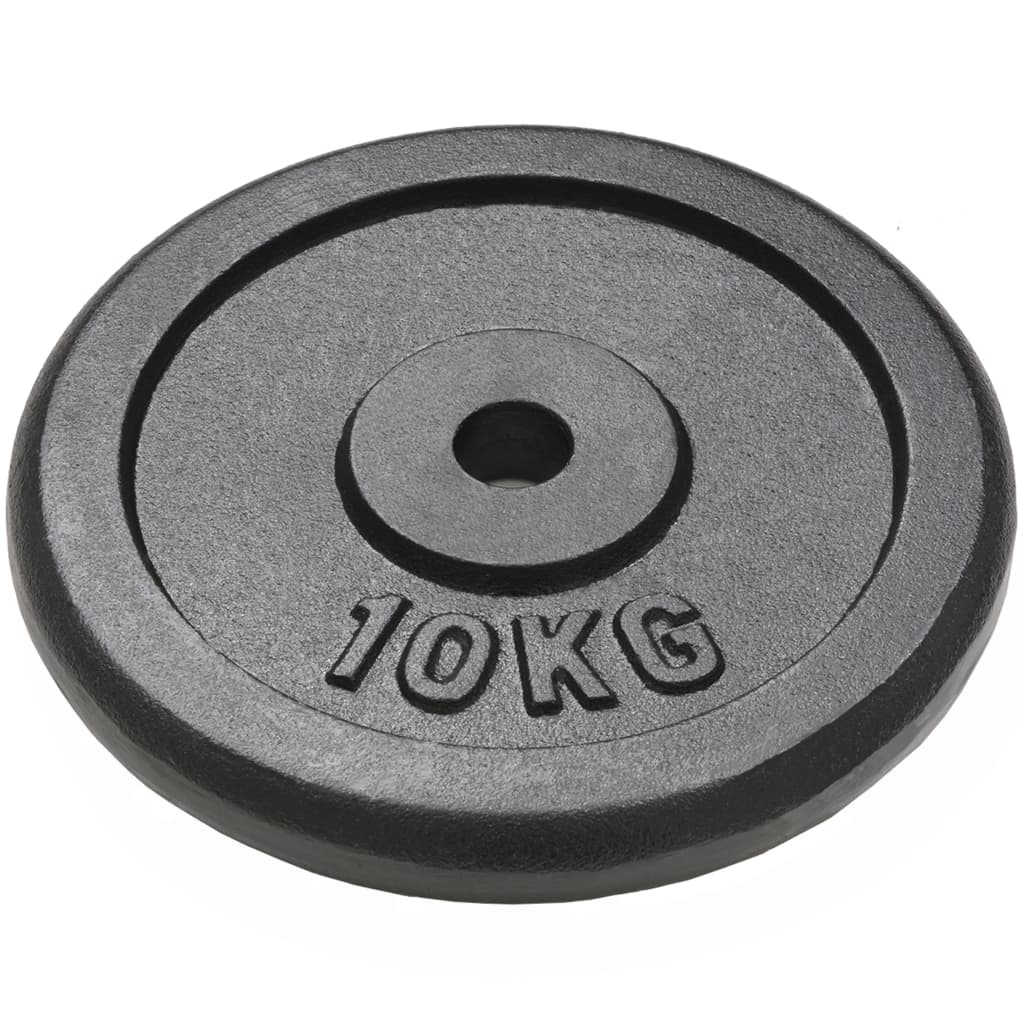 vidaXL Plaque de poids 2 pcs 2x10 kg Fonte