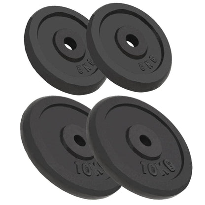 vidaXL Plaque de poids 4 pcs 2 x 10 kg + 2 x 5 kg Fonte