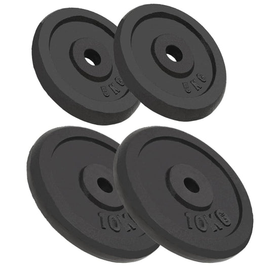 vidaXL Plaque de poids 4 pcs 2 x 10 kg + 2 x 5 kg Fonte
