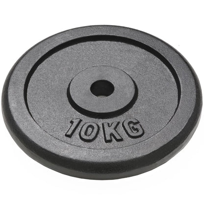 vidaXL Plaque de poids 4 pcs 2 x 10 kg + 2 x 5 kg Fonte