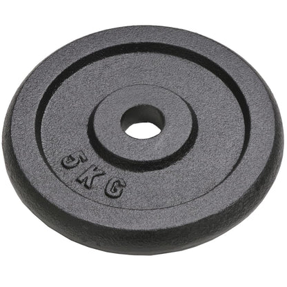vidaXL Plaque de poids 4 pcs 2 x 10 kg + 2 x 5 kg Fonte