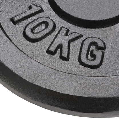 vidaXL Plaque de poids 4 pcs 2 x 10 kg + 2 x 5 kg Fonte