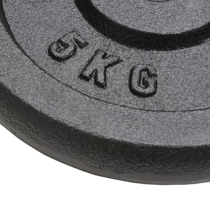 vidaXL Plaque de poids 4 pcs 2 x 10 kg + 2 x 5 kg Fonte