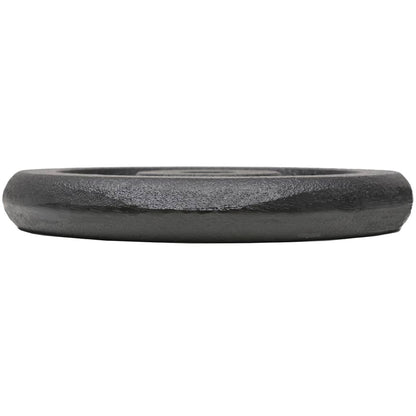 vidaXL Plaque de poids 4 pcs 2 x 10 kg + 2 x 5 kg Fonte