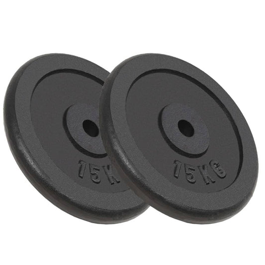 vidaXL Plaque de poids 2 pcs 2x15 kg Fonte