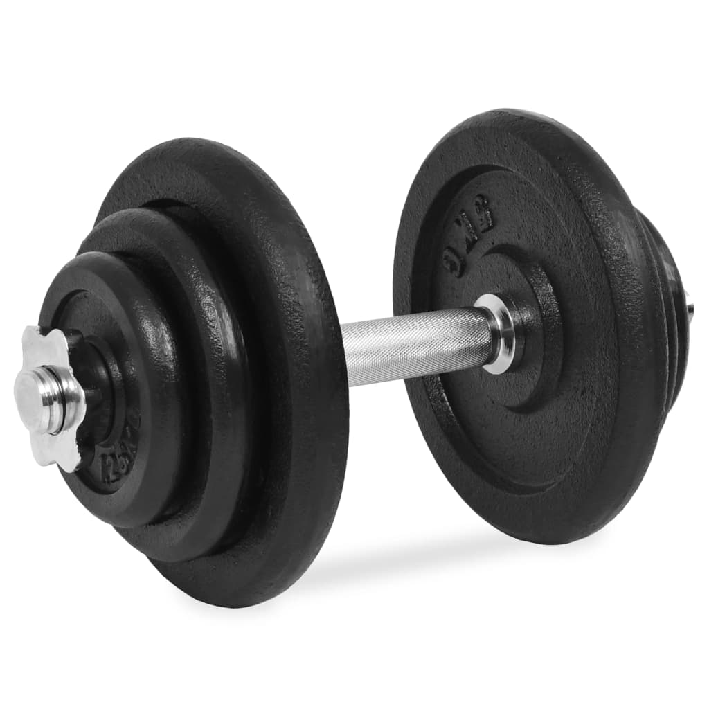 vidaXL Ensemble d'haltères 18 pcs 40 kg Fonte