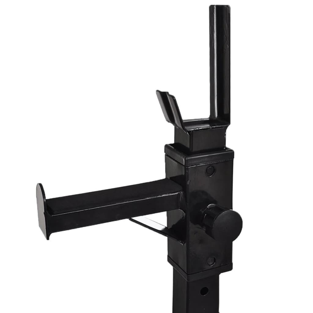 vidaXL Support d'haltères avec jeu d'haltères et de poids 60,5 kg