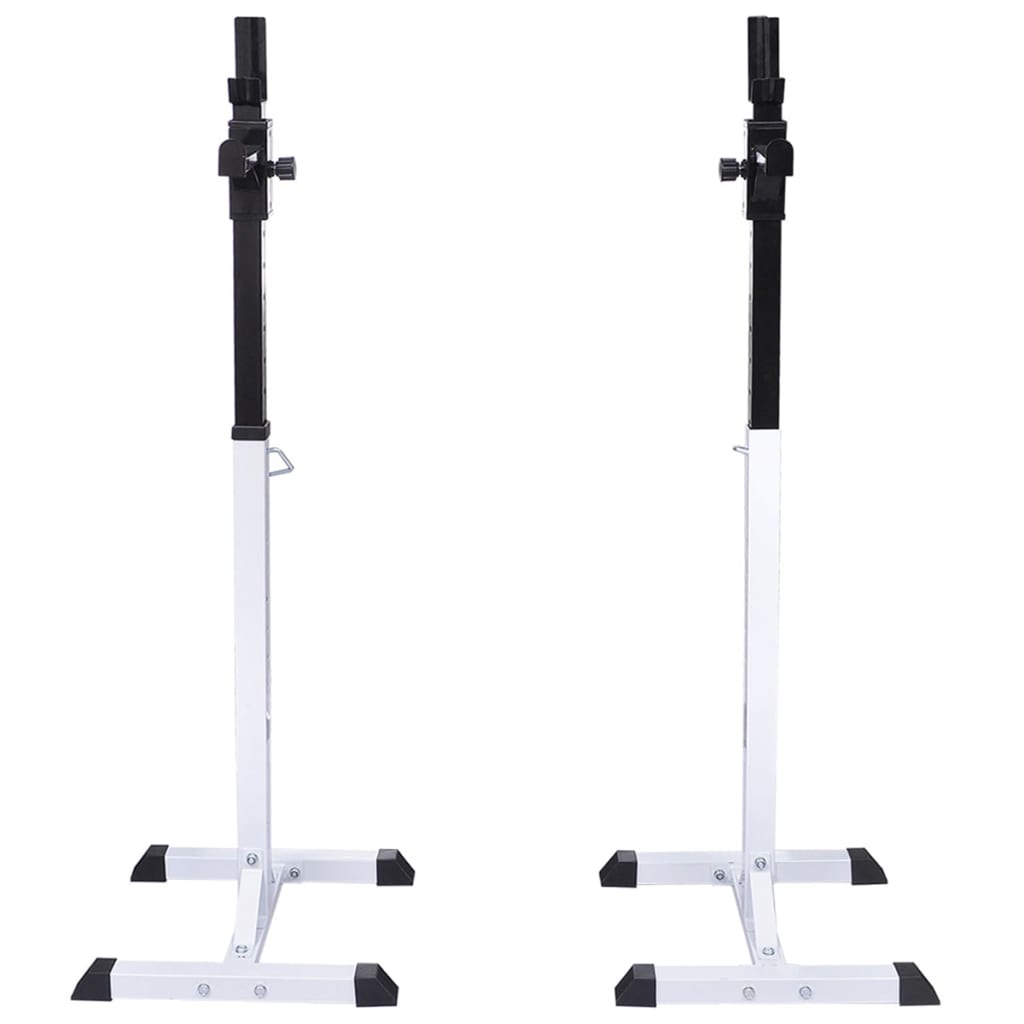 vidaXL Support d'haltères avec jeu d'haltères et de poids 30,5 kg