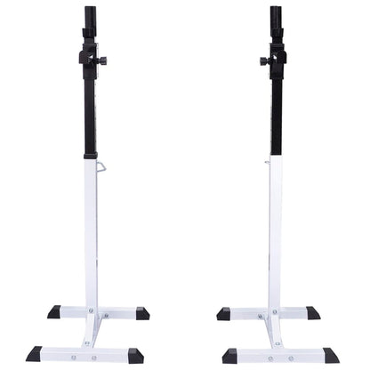 vidaXL Support d'haltères avec jeu d'haltères et de poids 30,5 kg