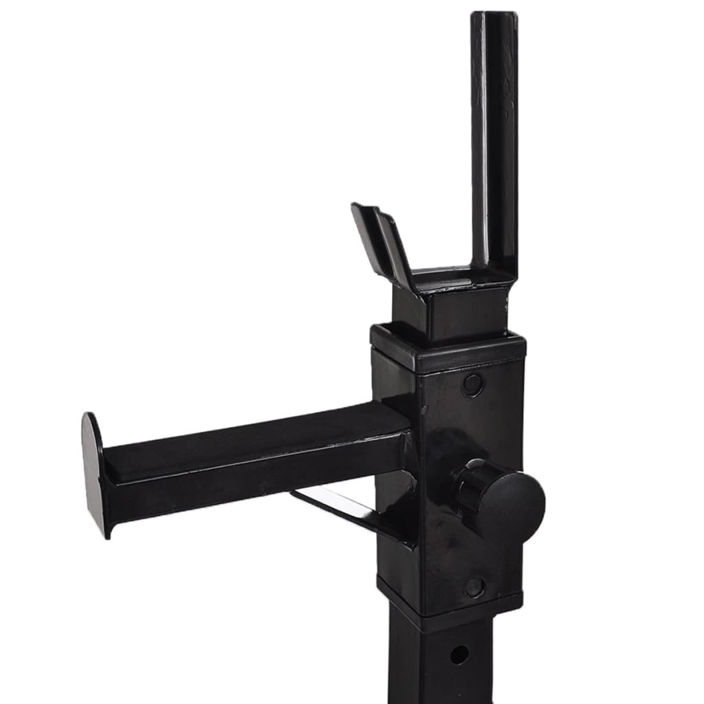 vidaXL Support d'haltères avec jeu d'haltères et de poids 30,5 kg