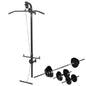 vidaXL Tour de musculation murale avec jeu d'haltères et poids 30,5 kg