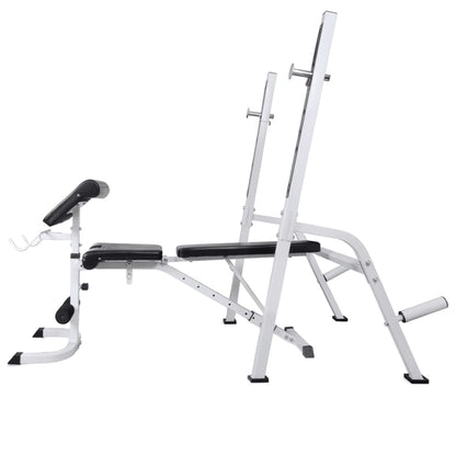 vidaXL Banc d'entraînement et support de poids jeu d'haltères 60,5 kg