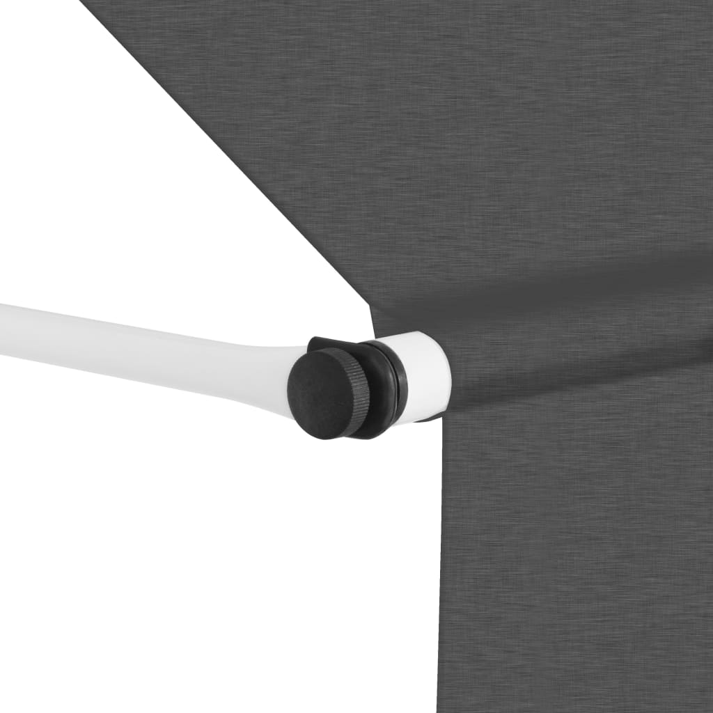 vidaXL Auvent manuel rétractable 250 cm Anthracite