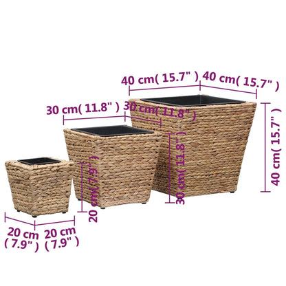 vidaXL Lits surélevés de jardin 3 pcs Jacinthe d'eau